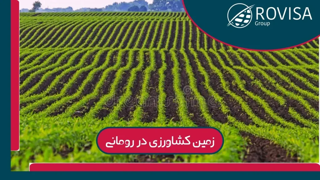 زمین کشاورزی در رومانی